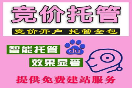信息流广告投放公司案例深度解读